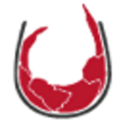 wineplanet.sk favicon