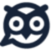 wise.swiss favicon