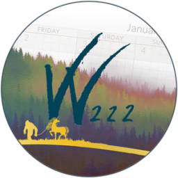 Wonderland222 logo