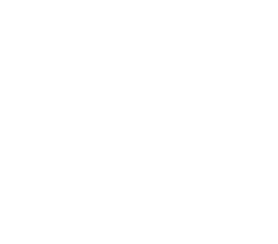 woowes logo