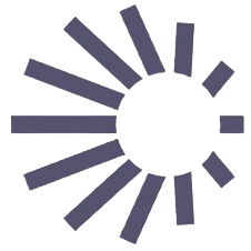 wormholescan.io favicon