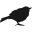 wrensilva.com favicon