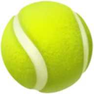 wyssseb.ch favicon