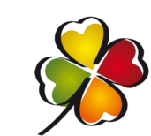 Zdravá volba logo