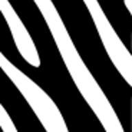 zebrastores.cz favicon